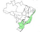 Mapa do Brasil: Mata Atlntica