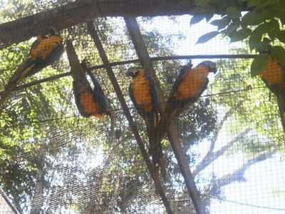 Aula de campo - Foz do Iguau