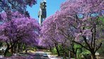 Pretria  a capital administrativa da frica do Sul onde esto localizadas diversas embaixadas e as sedes do governo, mas tambm  uma cidade para relaxar em meio  natureza. O Jardim Botnico  o principal do pas e o Jardim Zoolgico tambm  o mais popular da frica do Sul. </br></br> Palavras-chave: Pretria. Capital Administrativa. frica do Sul. Continente Africano. Natureza. 