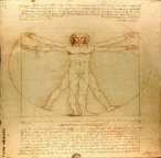 O homem vitruviano, segundo a interpretao de Leonardo da Vinci. </br></br> Palavras-chave: Homem vitriviano. Pintura. Leonardo da Vinci. 