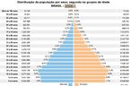 O grfico apresenta a distribuio da populao brasileira por sexo, segundo grupos de idade no ano 2000.</br></br>Palavras-chave: Brasil. Populao. Expectativa de Vida. Taxa de Natalidade. Taxa de Mortalidade. Mortalidade Infantil. Taxa de Fecundidade. Economia. Sade. Habitao.