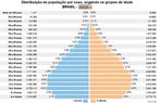 O gráfico apresenta a distribuição da população brasileira por sexo, segundo grupos de idade no ano 2010. </br></br> Palavras-chave: Brasil. População. Expectativa de Vida. Taxa de Natalidade. Taxa de Mortalidade. Mortalidade Infantil. Taxa de Fecundidade. Economia. Saúde. Habitação.