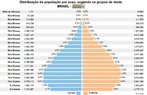 O grfico apresenta a distribuio da populao brasileira por sexo, segundo grupos de idade no ano 2010. </br></br> Palavras-chave: Brasil. Populao. Expectativa de Vida. Taxa de Natalidade. Taxa de Mortalidade. Mortalidade Infantil. Taxa de Fecundidade. Economia. Sade. Habitao.