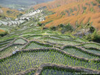 Agricultura: Curvas de Nvel