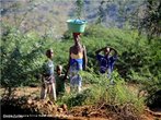 Mulher e filhos em Boroma, cidade prxima a Tete - Moambique. </br></br> Palavras-chave: Boroma. frica. Cotidiano. Trabalho. Crianas. Mulher. 