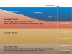 A chamada camada pr-sal  uma faixa que se estende ao longo de 800 quilmetros entre os Estados do Esprito Santo e Santa Catarina, abaixo do leito do mar, e engloba trs bacias sedimentares (Esprito Santo, Campos e Santos). O petrleo encontrado nesta rea est a profundidades que superam os 7 mil metros, abaixo de uma extensa camada de sal que, segundo gelogos, conservam a qualidade do petrleo. Vrios campos e poos de petrleo j foram descobertos no pr-sal, entre eles o de Tupi, o principal. H tambm os nomeados Guar, Bem-Te-Vi, Carioca, Jpiter e Iara, entre outros. </br></br> Palavras-chave: Pr-sal. Esprito Santo. Santa Catarina. Bacias sedimentares. Mar. Petrleo. 