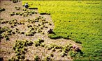 Agricultura  o conjunto de tcnicas utilizadas para cultivar plantas com o objetivo de obter alimentos, fibras, energia, matria-prima para roupas, construes, medicamentos, ferramentas, ou apenas para contemplao esttica.  </br></br>  Palavras-chave: Dimenso demogrfica. Economica. Politica. Territorio. Regio.  Pases. Agricultura. Alimento. Produtores ruasi, Agricultores. Cereais. Matria-prima.  