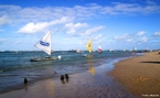 Vista das jangadas em Porto de Galinhas. Porto de Galinhas  uma conhecida praia do nordeste brasileiro. Sua fama se deve, principalmente, s belezas naturais: piscinas de guas claras e mornas formadas entre corais, esturios, mangues, areia branca e coqueirais. Localizada em Ipojuca, a 70 quilmetros do Recife,  uma das praias mais visitadas do litoral nordestino.  </br></br>  Palavras-chave: Jangadas. Pescadores. Renda. Trabalho. Emprego. Economia. Pesca.  