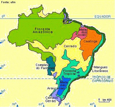 Pedagógiccos: Mapa do Brasil: vegetação