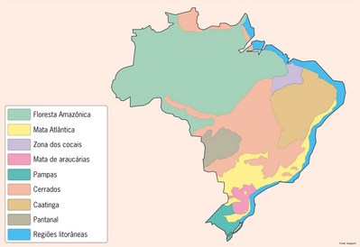 Mapa de Estratificação de Altitudes para a Vegetação do Brasil