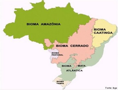 Brasil: Biomas - Disciplina - Geografia