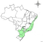 O Domnio da Mata Atlntica ou Bioma Mata Atlntica engloba uma rea de 1.306.000 km, cerca de 15% do territrio nacional, cobrindo total ou parcialmente 17 Estados brasileiros. Corresponde a um mosaico de ecossistemas florestais e outros ecossistemas associados (restingas, manguezais, etc.) que formavam um grande contnuo florestal  poca do descobrimento do Brasil.</br></br>Palavras-chave: Mata Atlntica. Bioma. Brasil. Ecossistemas Florestais.