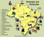 As prticas realizadas pelo homem no meio ambiente tm provocado a extino de algumas espcies. De acordo com os ltimos dados, o Ibama apresenta uma lista com 395 nomes de espcies em extino (nessa lista no esto os peixes e os crustceos).</br></br>Palavras-chave: Bioma. Biota. Mapa. Ecossistema. Mata Atlntica. Biodiversidade. Fauna. Biopirataria. Dimenso Socioambiental. Lugar. Territrio. Regio. Dimenso Econmica da Produo do e no Espao. Sociedade. Paisagem.