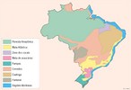 Distribuição (original) da vegetação pelo território brasileiro.</br></br>Palavras-chave: Espaço Geográfico. Território. Lugar. País. Vegetação. Mapa. Brasil.