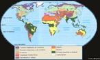 A composio dinmica da biosfera produz diferentes vegetaes, climas, relevos entre outros, dessa forma as paisagens naturais variam de grandes florestas tropicais a desertos, montanhas e imensas geleiras. Para a consolidao dos mais variados tipos de vegetaes existentes no mundo  preciso que haja a interao entre os elementos naturais (clima, solo, relevo, vegetao e energia).  </br></br> Palavras-chave: Floresta. Vegetao. Mapa-Mndi. Bioma. Biota. Ecossistema. Biodiversidade. Fauna. Biopirataria. Dimenso Socioambiental. Lugar. Territrio. Regio. Paisagem. Ecossistema. Natureza. Dimenso Econmica da Produo do e no Espao. Sociedade. 