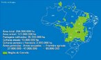 O Bioma Cerrado localiza-se principalmente no Planalto Central do Brasil. Ocupa 24% do território nacional, pouco mais de dois milhões de quilômetros quadrados. Segundo estudos atuais, restam 61,2% desse total, em áreas distribuídas no Planalto Central e no Nordeste, estando a maior parte na região Meio-Norte, nos estados do Maranhão e do Piauí. </br></br>Existem áreas de Cerrado também em Rondônia, Roraima, Amapá, Pará, bem como em São Paulo. É a segunda maior formação vegetal brasileira depois da Amazônia e a savana tropical mais rica do mundo em biodiversidade. </br></br> Palavras-chave: Bioma. Cerrado. Vegetação. Amazônia. Savana. Biodiversidade. Desmatamento. Agricultura. 