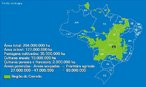 O Bioma Cerrado localiza-se principalmente no Planalto Central do Brasil. Ocupa 24% do territrio nacional, pouco mais de dois milhes de quilmetros quadrados. Segundo estudos atuais, restam 61,2% desse total, em reas distribudas no Planalto Central e no Nordeste, estando a maior parte na regio Meio-Norte, nos estados do Maranho e do Piau. </br></br>Existem reas de Cerrado tambm em Rondnia, Roraima, Amap, Par, bem como em So Paulo.  a segunda maior formao vegetal brasileira depois da Amaznia e a savana tropical mais rica do mundo em biodiversidade. </br></br> Palavras-chave: Bioma. Cerrado. Vegetao. Amaznia. Savana. Biodiversidade. Desmatamento. Agricultura. 