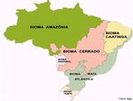 O Mapa de Biomas do Brasil, resultado de uma parceria entre o IBGE e o Ministério do Meio Ambiente (MMA), mostra que o Bioma Amazônia e o Bioma Pantanal ocupam juntos mais de metade do território brasileiro. O Mapa de Vegetação do Brasil reconstitui com mais detalhes a provável situação da vegetação na época do descobrimento. Em tamanho mural e escala de um para cinco milhões, os dois mapas são lançados em comemoração ao Dia Mundial da Biodiversidade (22 de maio). </br></br> Palavras-chave: Biomas. Brasil. Mapas. IBGE. MMA. Território. Vegetação. 