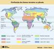 Os biomas so formados por um conjunto de ecossistemas associados e abrangem grandes extenses.</br></br> Entre os principais biomas terrestres, destacam-se a floresta tropical mida ou pluvial, a savana, o deserto, a vegetao mediterrnea, as pradarias, a estepe, a floresta temperada, a taiga e a tundra.</br></br>Palavras-chave: Floresta Tropical mida ou Pluvial. Savana. Deserto. Vegetao Mediterrnea. Pradarias. Estepe. Floresta Temperada. Taiga. Tundra. Vegetao. Bioma. Clima. Latitude. Longitude. Correntes Martimas. Biodiversidade. Desmatamento.