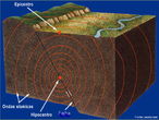 Terremoto