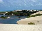 As dunas so elevaes formadas pelo acmulo de areia transportada pelo vento. Elas aparecem em reas com grandes faixas de areia seca. Poucos animais esto adaptados  vida neste ambiente, entre eles insetos e o tuco-tuco, roedor que escava a areia. Quanto  vegetao, so comuns gramneas e plantas rasteiras que tm um papel importante na fixao das dunas, j que suas razes muitas vezes impedem que a areia seja levada pelo vento. Imagem da rea de Proteo Ambiental das Dunas de Genipabu, Rio Grande do Norte.</br></br>Palavras-chave: Biomas. Dunas. Ambientes Costeiros. Turismo.