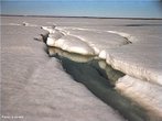 Banquisa ou banco de gelo é água do mar gelada, que começa a formar-se aos -2°C, originando uma camada delgada que se quebra facilmente. Os pedaços maiores engrossam e aglomeram-se, recolhendo na periferia os pedaços mais pequenos: é um gelo em placas. </br></br> Palavras-chave: Banquisa. Água. Mar. Gelo. Regiões polates.  