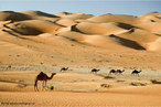 O deserto  uma regio em que ocorre pouca quantidade de chuva. Em virtude desta situao climtica, a umidade  muito baixa e pouca vegetao se desenvolve. Nestas condies, a vida torna-se complicada para seres humanos e outras espcies animais. </br></br> Palavras-chave: Bioma. Deserto. Chuva. Vegetao. Clima. Umidade.  