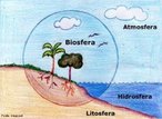 A área da superfície terrestre pode ser dividia em quatro “geoesferas”, cujo relacionamento criou ambientes que permitiram o surgimento, desenvolvimento e sustentação da vida. Essas esferas são: a litosfera, atmosfera, hidrosfera e biosfera. </br></br> Palavras-chave: Biosfera. Ambientes. Vida. Litosfera. Atmosfera. Hidrosfera. 