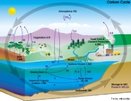 O carbono  o elemento qumico fundamental dos compostos orgnicos, cujo ciclo consiste na assimilao (fixao) dos tomos contidos nas molculas simples de gs carbnico presente na atmosfera (CO2), e convertidos em substncias mais elaboradas (carboidratos, protenas), a partir do metabolismo fotossinttico realizado pelos organismos autotrficos.  </br></br>  Palavras-chave: Territrio. Lugar. Espao. Ciclo do Carbono. Atmosfera.