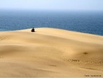 O Deserto de Tottori no  conhecido como um deserto por causa da ocorrncia de chuvas razoveis que h na regio, muito maior do que a de um deserto normal. Mesmo assim, a temperatura nas areias de l excede os 60 graus Celsius durante o vero.  uma das mais exticas vistas do Japo e um dos mais populares pontos tursticos. As dunas possuem 2 km de norte a sul e 16 km de leste a oeste. Estima-se que elas existam, nessa configurao, h 100 mil anos  pesquisas sugerem que elas sejam formadas de sedimentos das montanhas <em>Chukogu</em>, trazidos pelo rio Sendai e pelo oceano. </br></br> Palavras-chave: Deserto. Japo. Pluviosidade. Regio. Temperatura. Sedimentos. Bioma. Clima. 