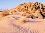 Deserto  uma regio em que ocorre pouca quantidade de chuva. Em virtude desta situao climtica, a umidade  muito baixa e pouca vegetao se desenvolve. Nestas condies, a vida torna-se complicada para seres humanos e outras espcies animais. </br></br> Palavras-chave: Bioma. Deserto. Chuva. Vegetao. Clima. Umidade. 