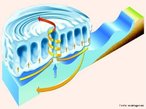 Fenmenos Atmosfricos: Ciclone