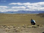 A peculiaridade climtica faz da Patagnia um lugar muito especial. Os fortes ventos provenientes do Pacfico carregam umidade que provoca chuva nas montanhas da Patagnia chilena. Quando chega do lado argentino, o vento vem com pouca umidade, tornando as estepes patagnicas semi-ridas, com temperaturas anuais mais amenas. Os guanacos (mamfero ruminante) so tpicos dessa regio. </br></br> Palavras-chave: Estepes. Patagnia. Guanacos. Umidade. Chuva. Ventos. 