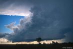 So as nuvens mais baixas, geralmente escuras e provocadoras de chuvas. </br></br> Palavras-chave: Nimbos. Nuvens. Atmosfera. Tempo. Clima. 