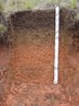 Cambissolos são solos de encostas, pouco profundo (de 50 cm a 1 m) e bem drenados (a água infiltra com facilidade). Ocorrem caracteristicamente em paisagens mais declivosas.</br></br>São predominantes em 11% do território paranaense, principalmente no sul e leste do estado. Quando férteis, são intensamente usados, apesar do relevo mais acidentado. Naqueles de baixa fertilidade (maioria no Paraná), porém situados em relevo plano, a utilização de corretivos e adubos os tornam produtivos. </br></br>Palavras-chave: Solos. Cambissolos. Paraná. Rochas. Agricultura. Economia. Erosão. Assoreamento. Poluição. Relevo.