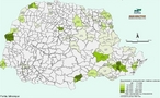 Areia  um material de origem mineral finamente dividido em grnulos, composta basicamente de dixido de silcio, com 0,063 a 2 mm. </br></br> Palavras-chave: Dimenso Socioambiental. Regio. Territrio. Economia. Areia. Minerais.