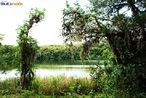 Parque Estadual de Vila Velha